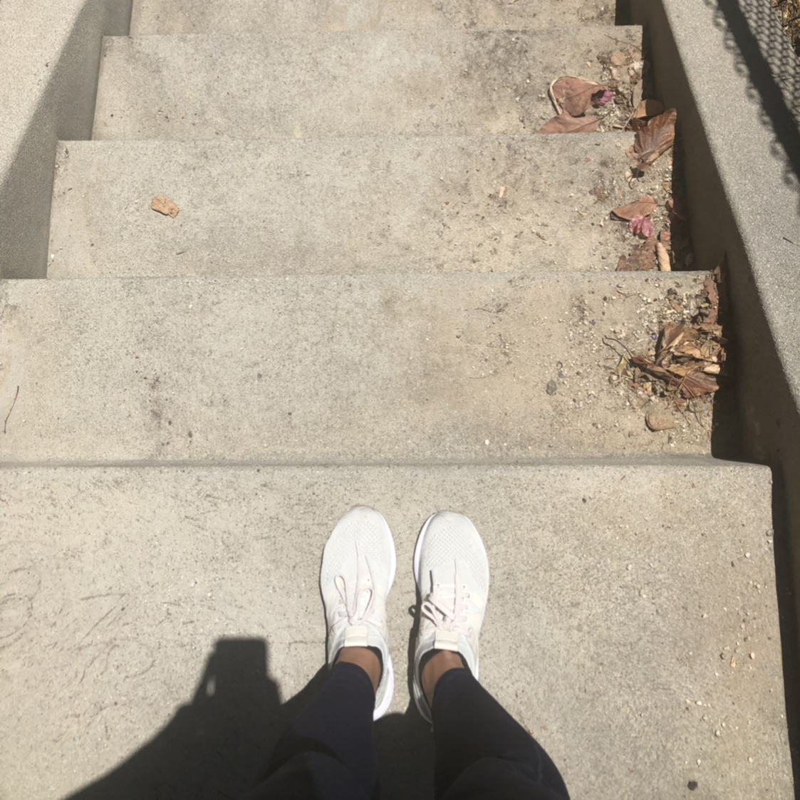 cropped-image1-copy-e1537747621818